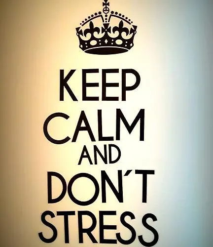 Hostel Puzzle - Jezyce *