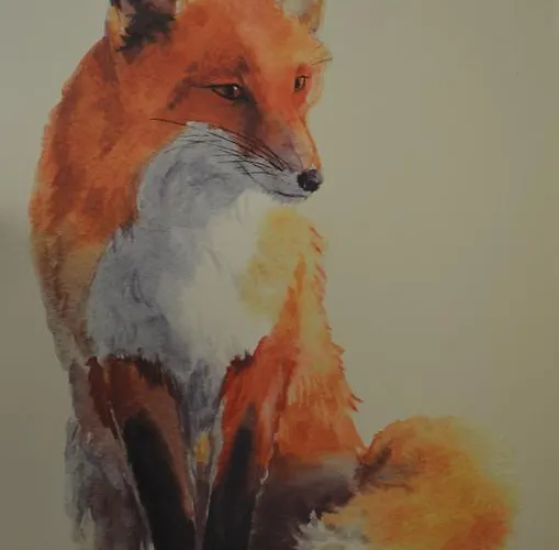 Hostel Puzzle - Jezyce *